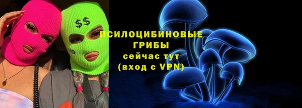 прущие грибы Ладушкин