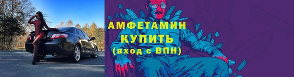прущие грибы Ладушкин