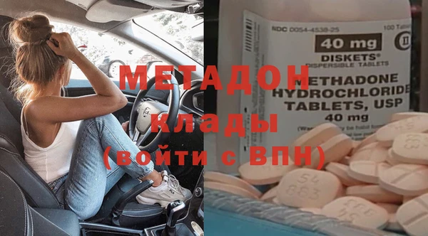 прущие грибы Ладушкин
