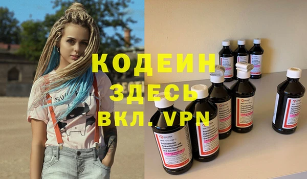 прущие грибы Ладушкин