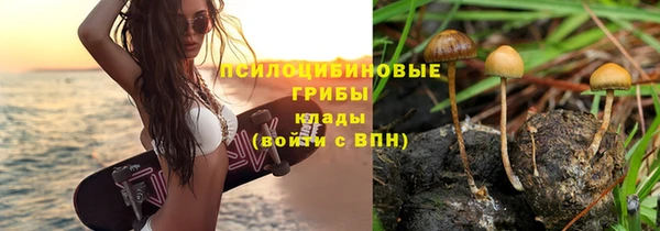 кокс Лабытнанги