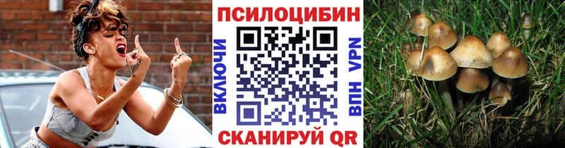 Купить где  Злынка  Галлюциногенные грибы GOLDEN TEACHER 